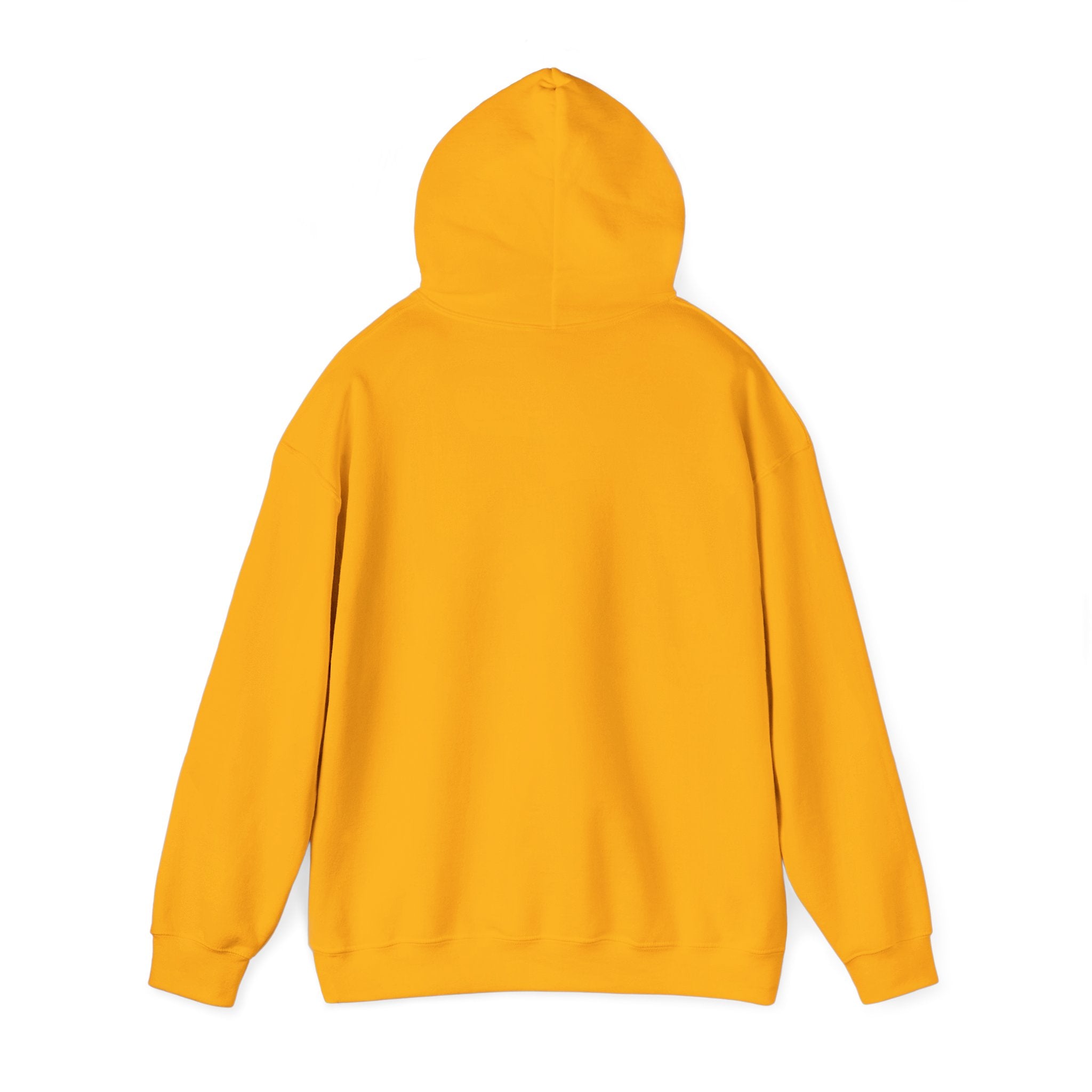 Stay Pawsitive Dog Lover Hoodie, Cute Pet Apparel, Cozy Sweatshirt for Animal Lovers, Perfect Gift for Dog Owners, Unisex Dog Hoodie