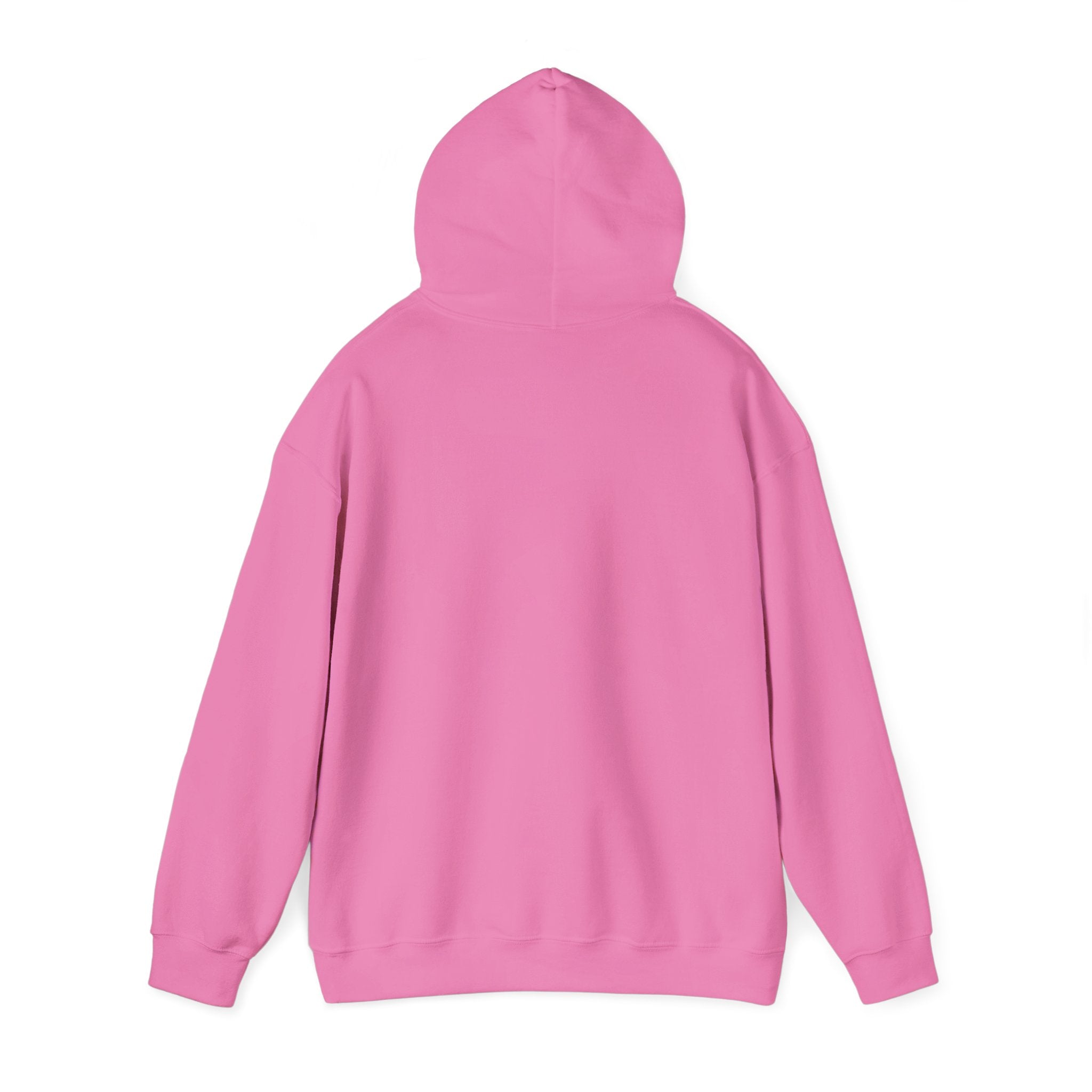 Dream Chaser Hooded Sweatshirt for Free Spirits, Cozy Gift, Motivational Apparel, Unisex Hoodie, Perfect for Every Occasion