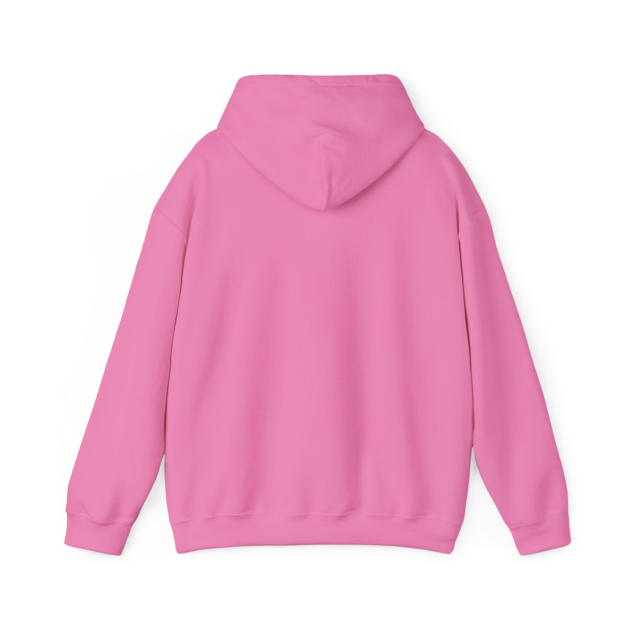 Dream Chaser Hooded Sweatshirt for Free Spirits, Cozy Gift, Motivational Apparel, Unisex Hoodie, Perfect for Every Occasion